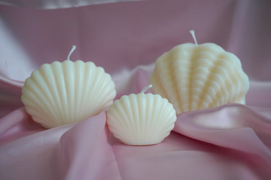 Coquillages